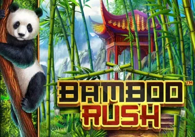 Bamboo Rush screenshot